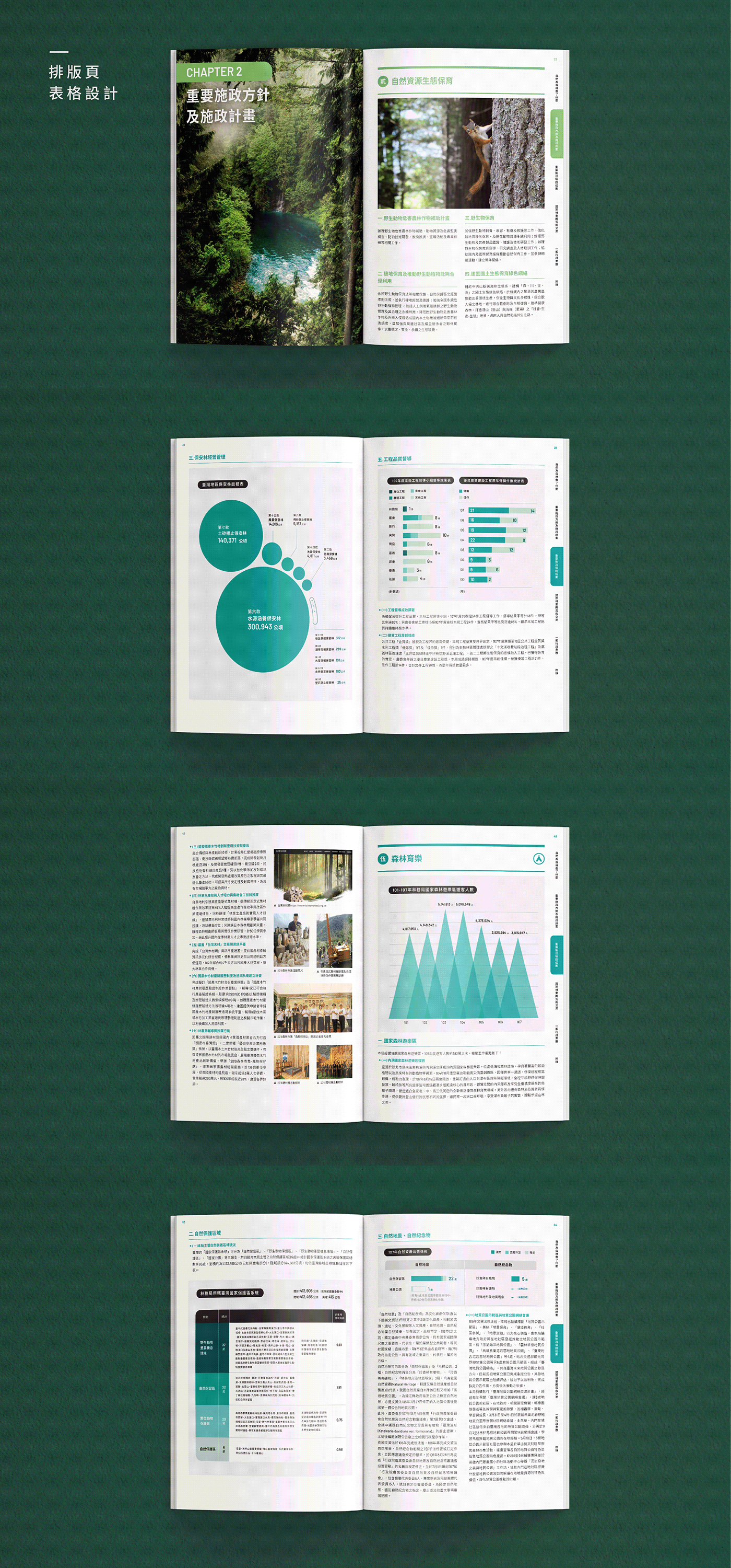 graphic design  ILLUSTRATION  infographic report visual 平面設計 成果報告 插畫 視覺設計 資訊圖表