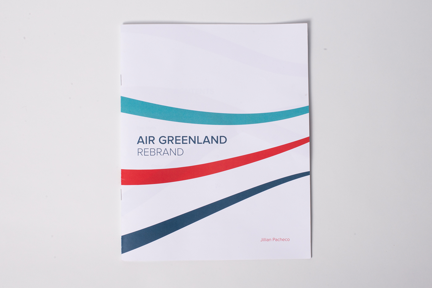 brand book identity airline Greenland mockups design Rebrand logo airplane