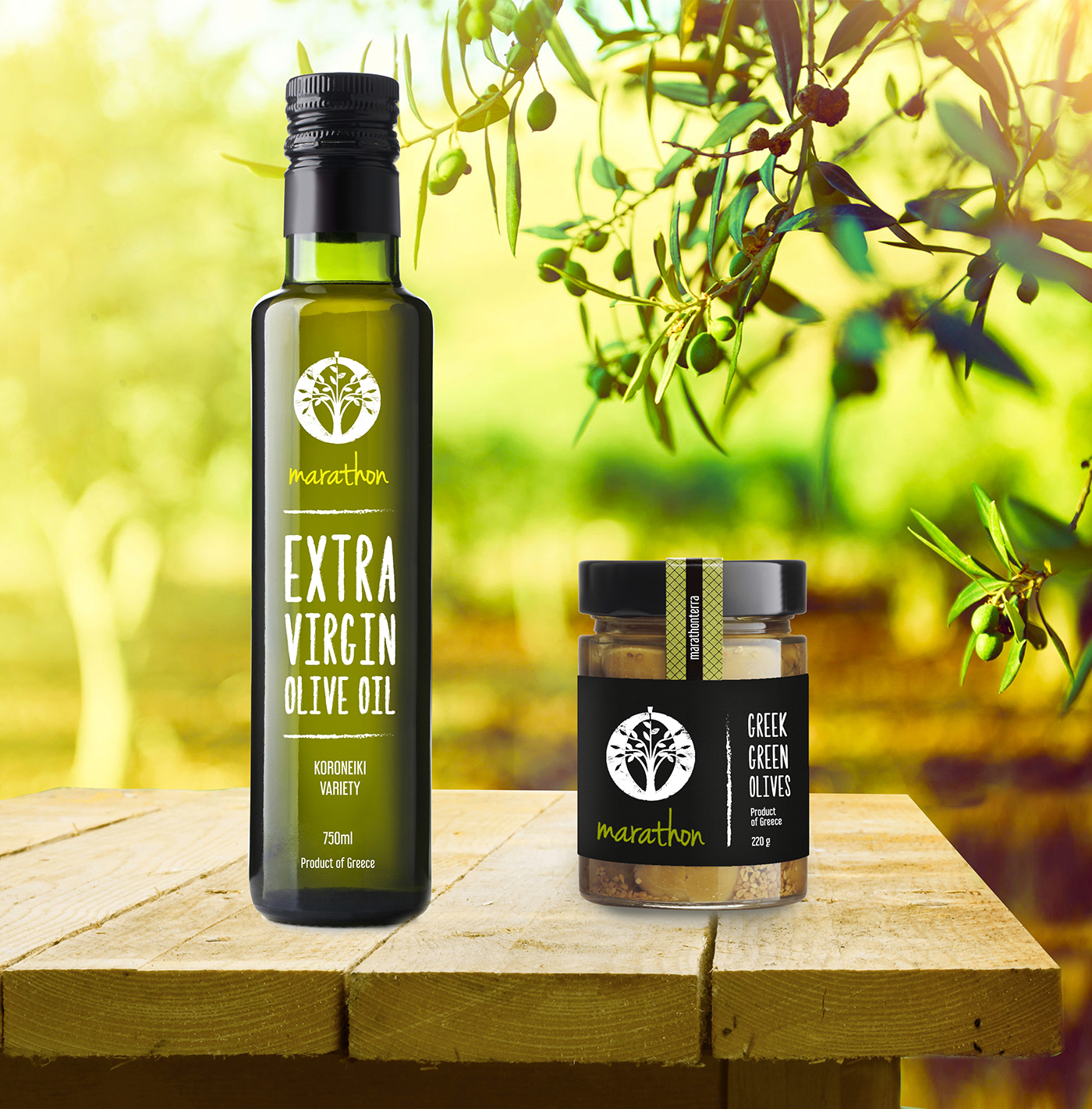 olive Olive Oil oil terra Marathon package graphic logo design bottle brochure photo land