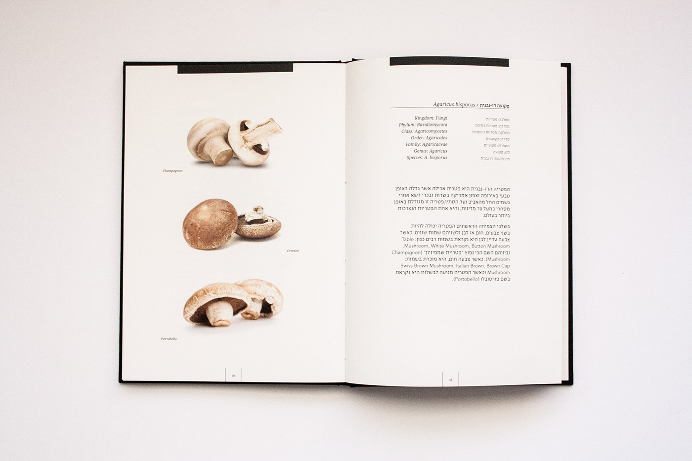 Mushrooms field book