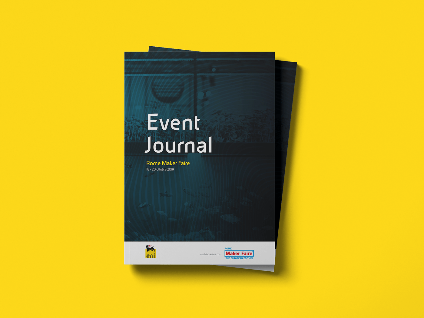 book brochure design editorial Event graphic Layout live Newsroom writing 