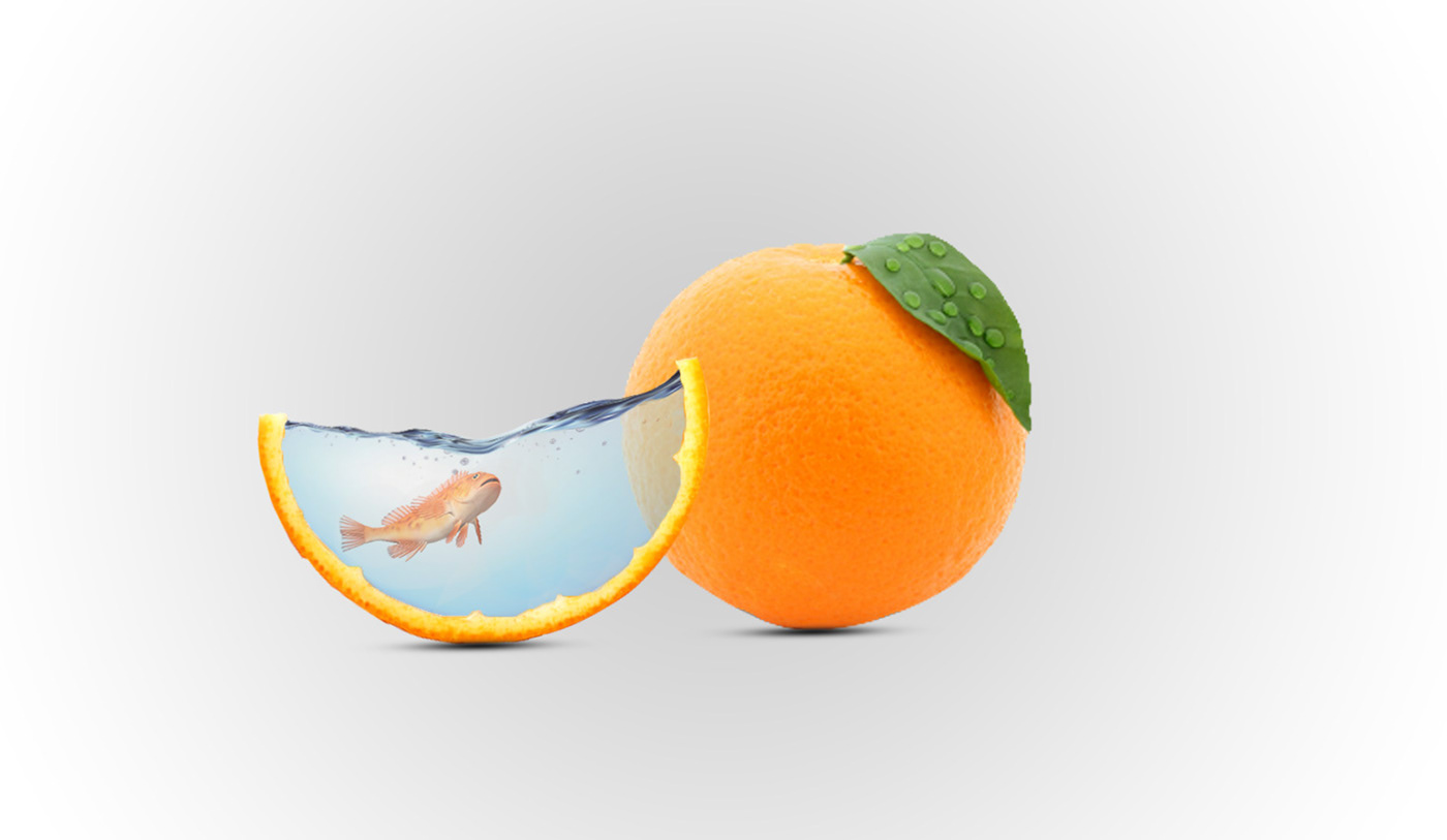 designer drink Editing  Fruit graphics juice orange photoediting photoshop