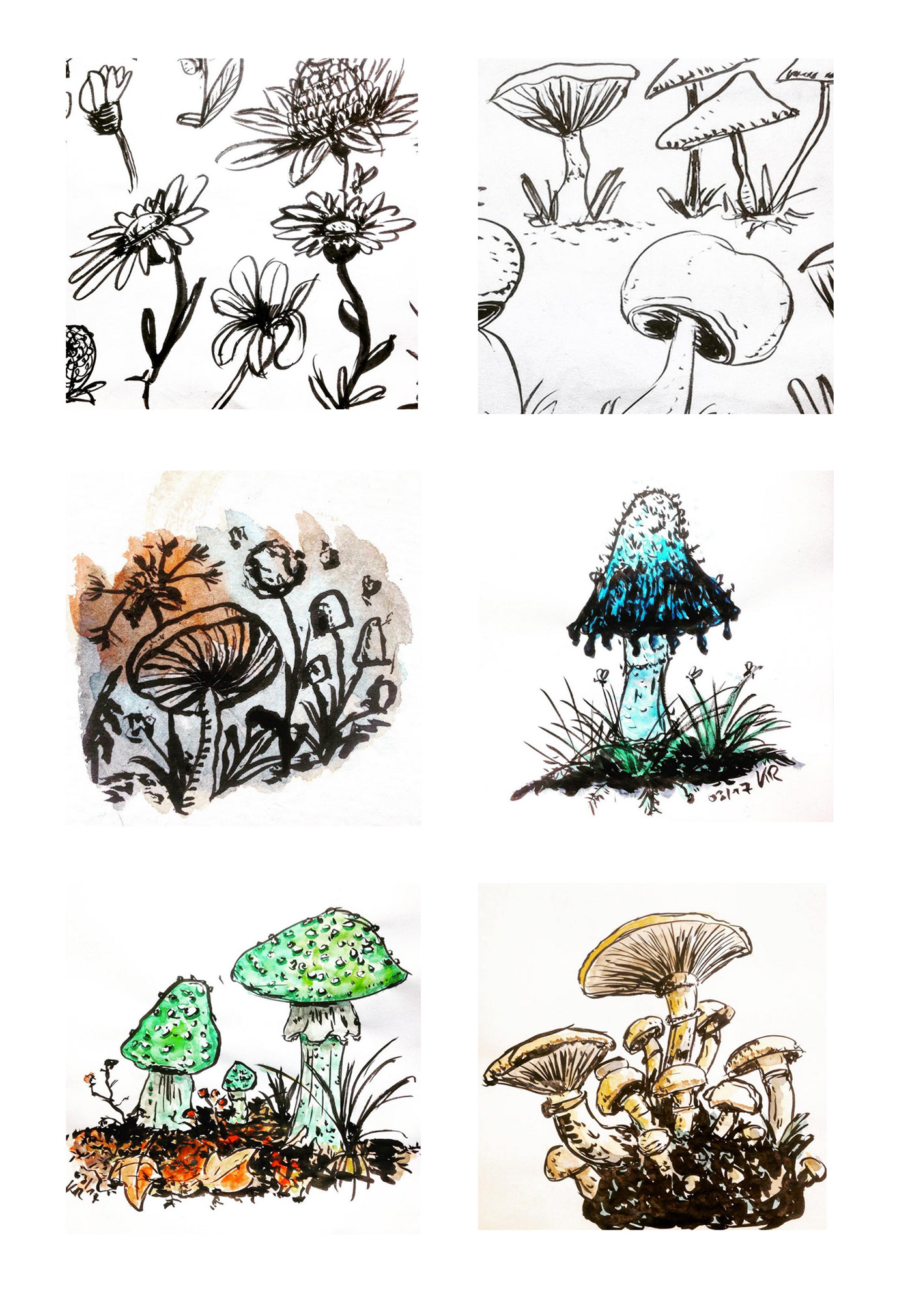 Fungi Pilz Tinte ink mushroom watercolor aquarell