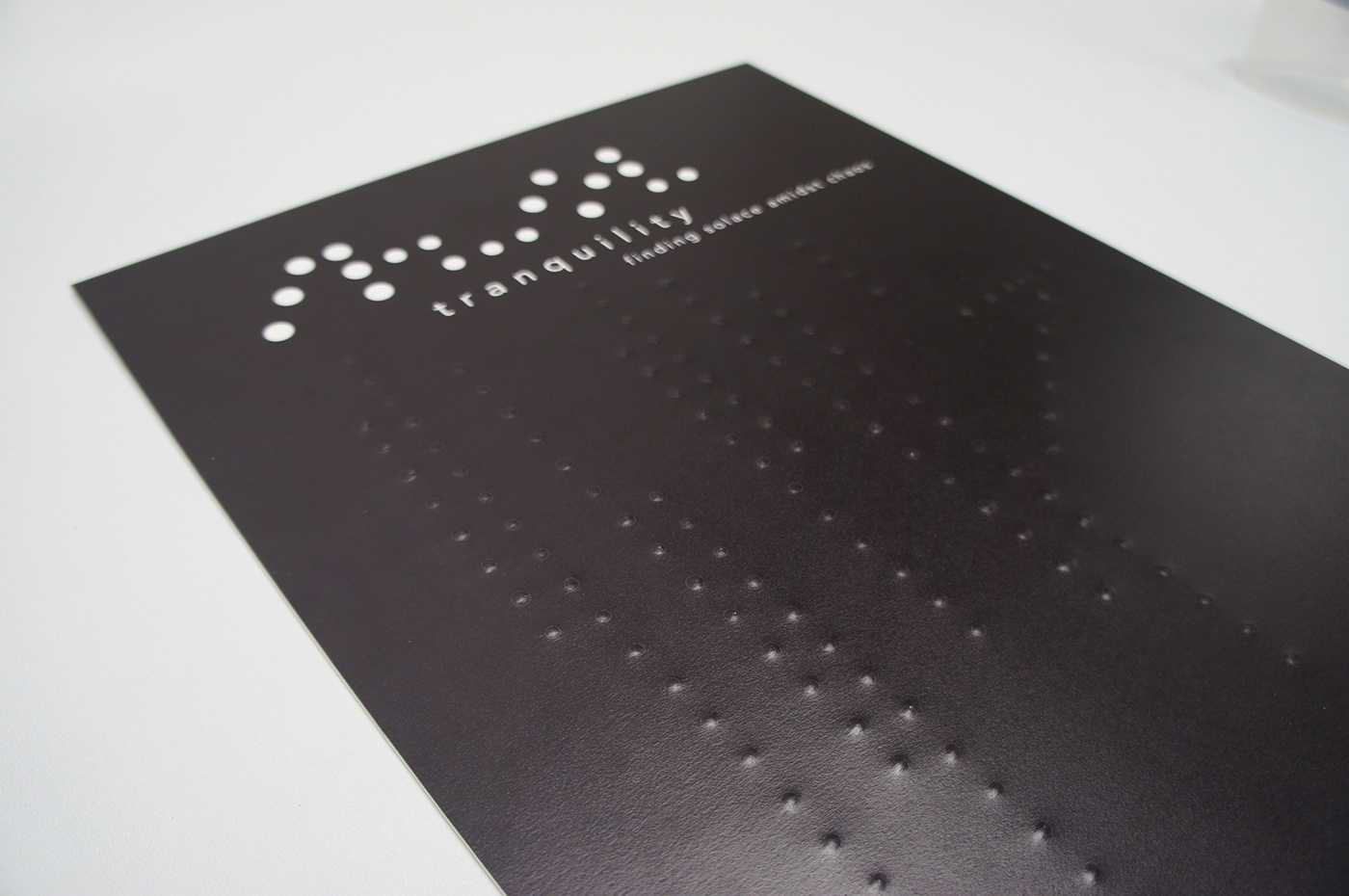 handbound book book poster Braille dots touch feel listen SENSORY sensory experience craft