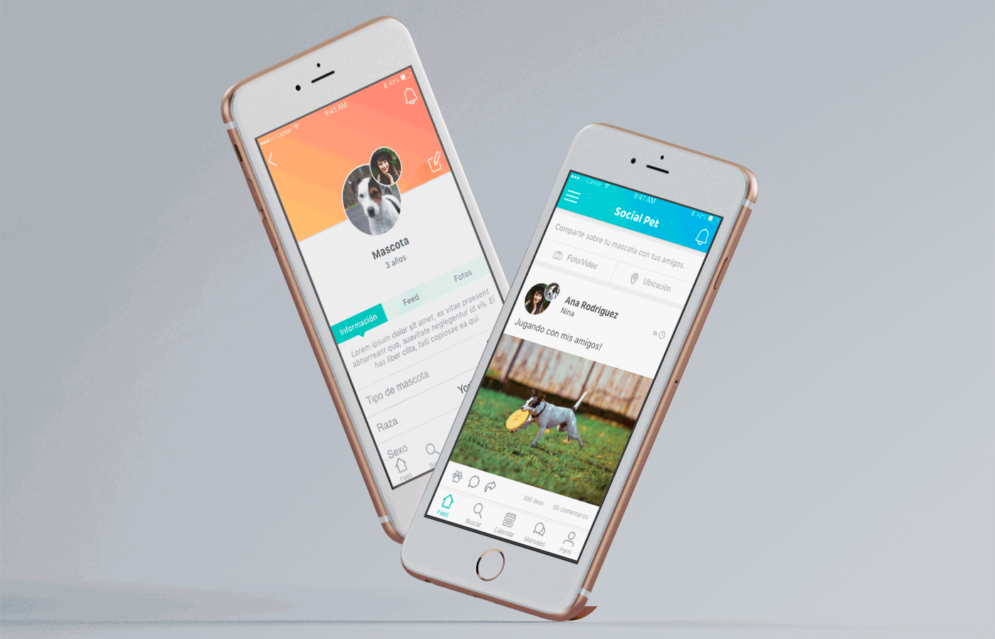 pets app Social app ux design dogs graphic design  user experience pet lovers