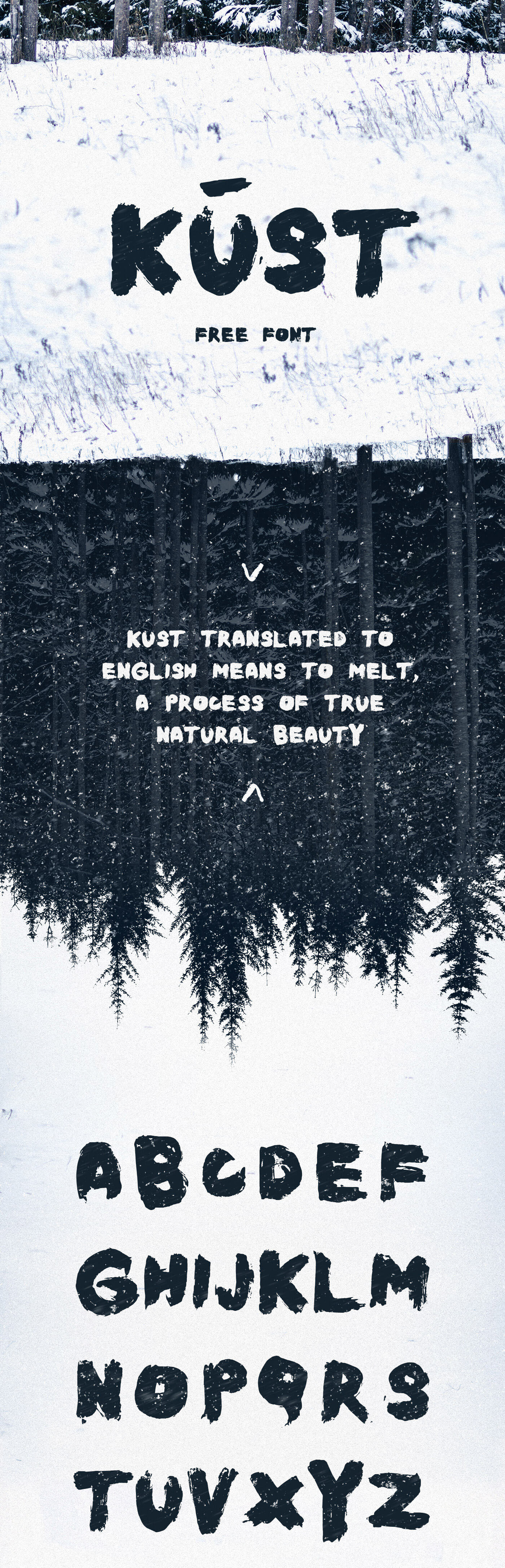 free font Free font brush handwritten Brush font freebie Latvia lettering winter forest pics instagram dark
