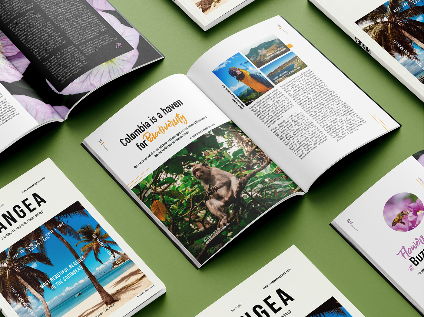 digital Diseño editorial editorial design  magazine revista