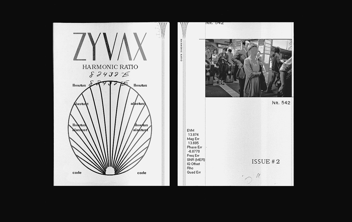 graphic book design black White scanning graphic design  Photography  typography   monochrome