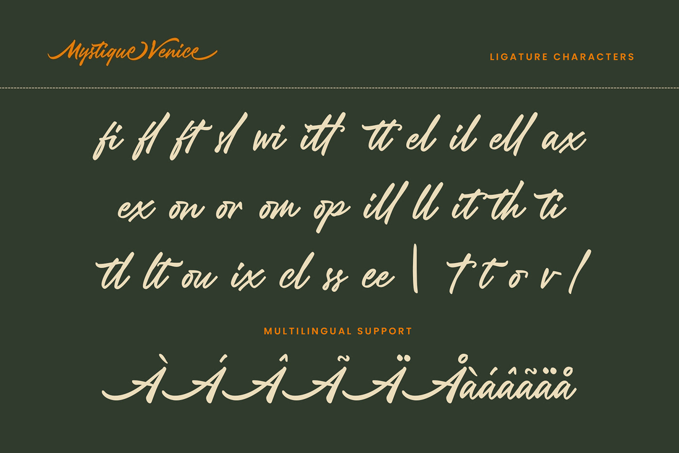 font design lettering typography   type Calligraphy   vintage Typeface sign modern