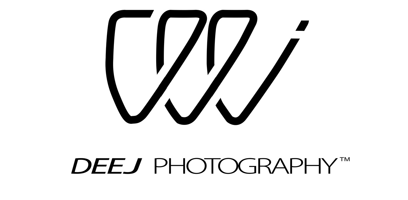 advertizing branding  graphic design  Logo Design logo graphics marketing   official logo