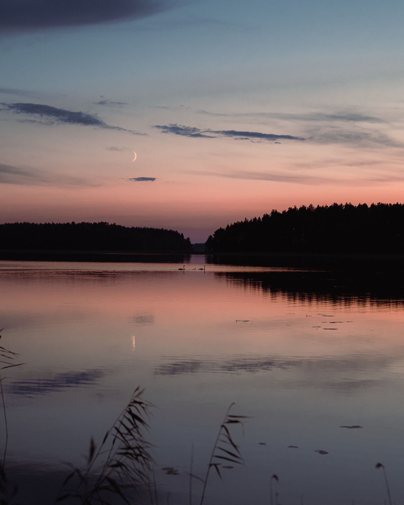 Documentary  Evening finland lake mökki mood night Photography  suomi wildlife