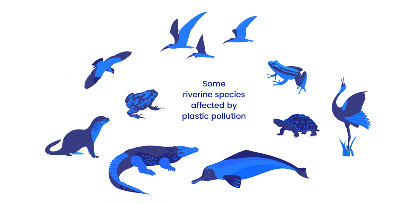 environment ganges ILLUSTRATION  infographic plastic pollution