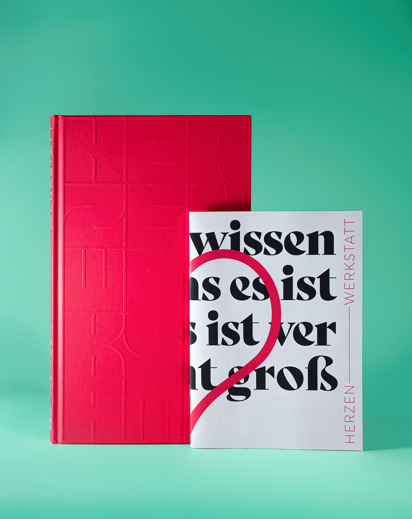 art catalogue book design Buchgestaltung Cover Art cover design Covergestaltung editorial Layout Design print design  typography  