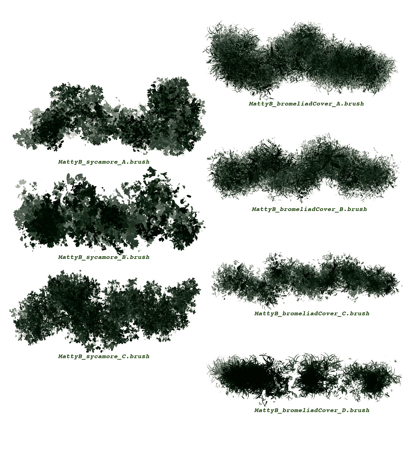 Procreate brushes vegetation plants Drawing  ILLUSTRATION  sketching