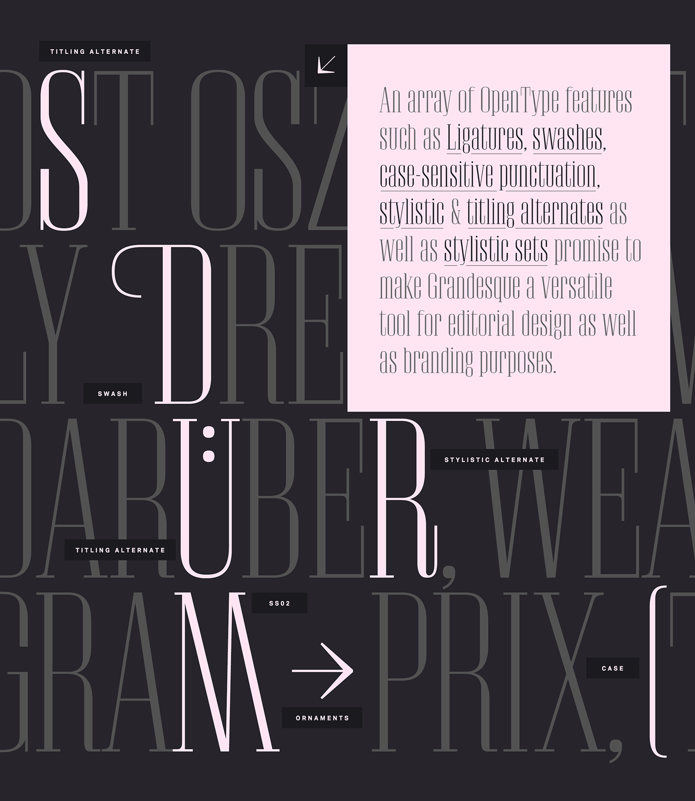 Grandesque type design font Typeface berlin german Mockup bodoni Didone Hrankov Julian Hrankov editorial magazine Headline
