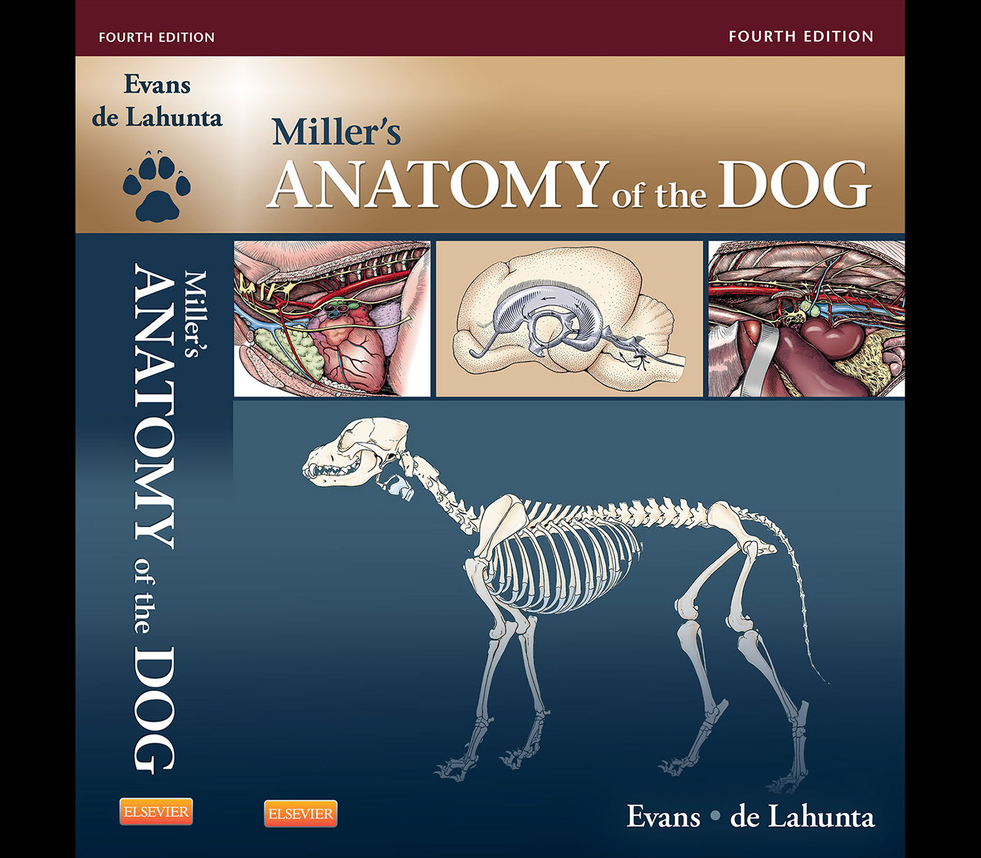 Миллер животных. Анатомия собаки. Анатомия Miller s. Анатомия собаки Миллер.