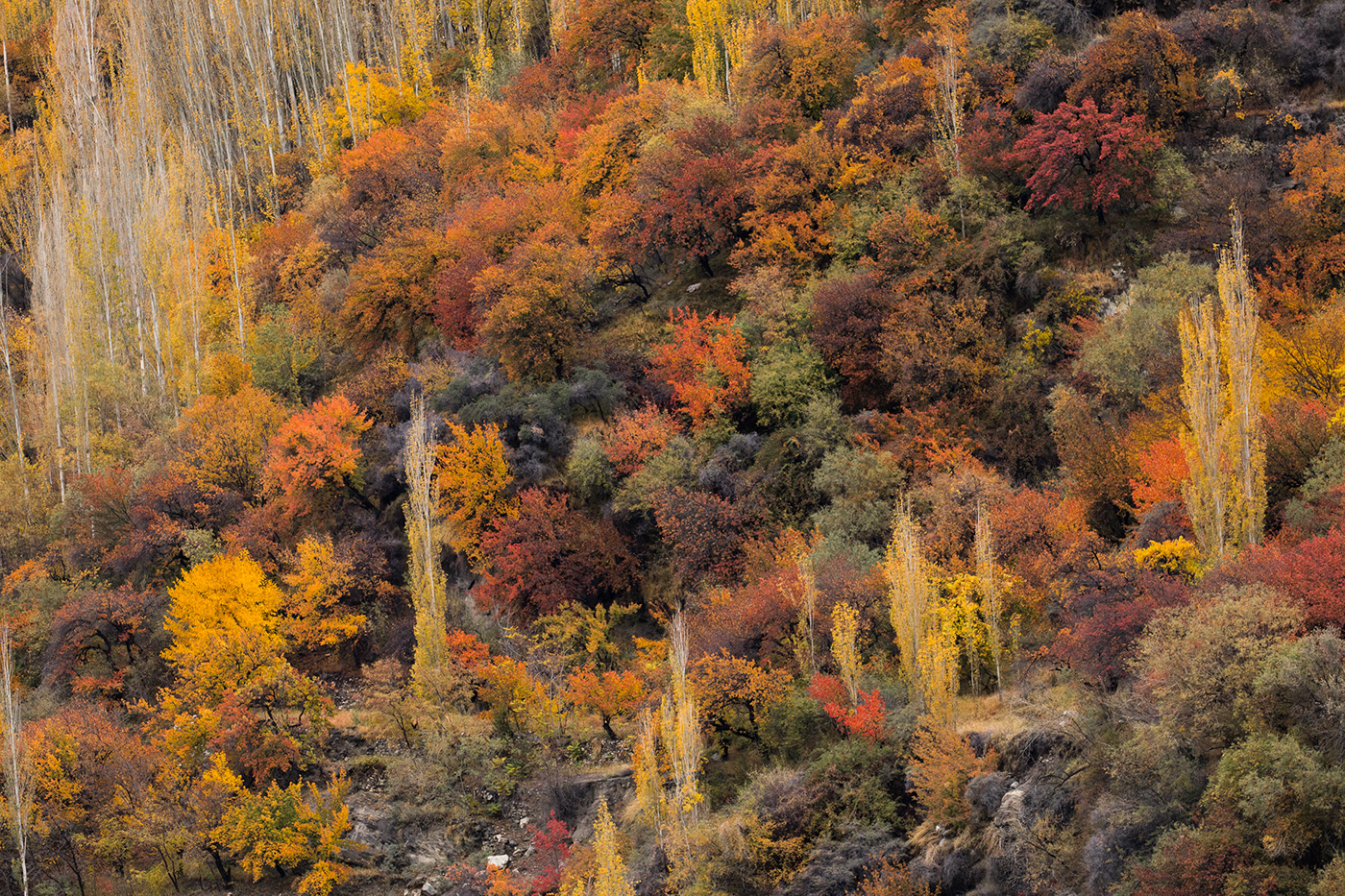 landscpe autumn colours mountains snow fruits Pakistan Sunrise rivers terrain
