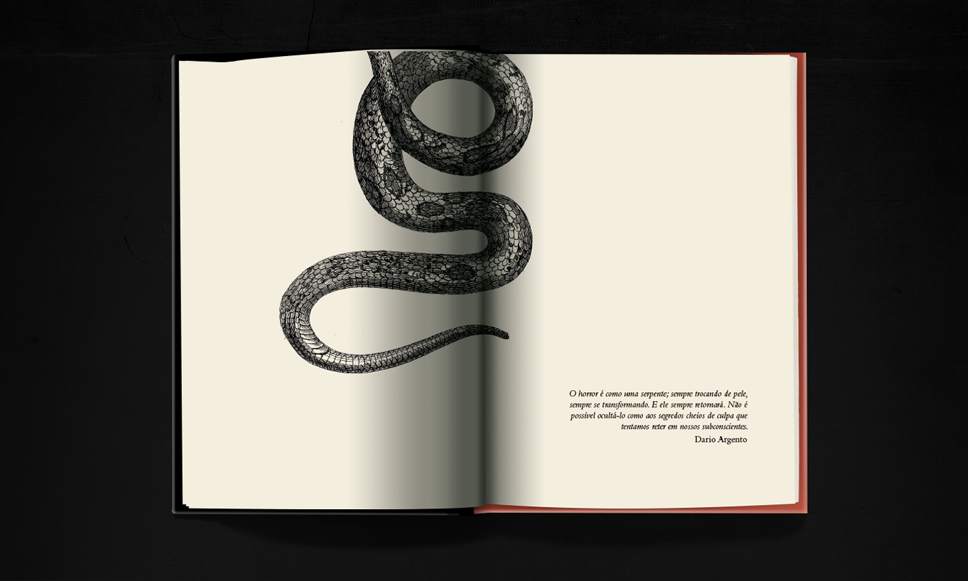 book gothic schiller coverbook graphicdesign editorial german literature Romanticism Terror