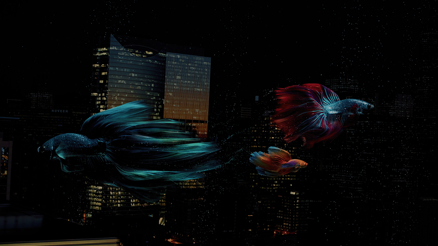 3D animation  CGI fish phone rendering surrealism Vivo
