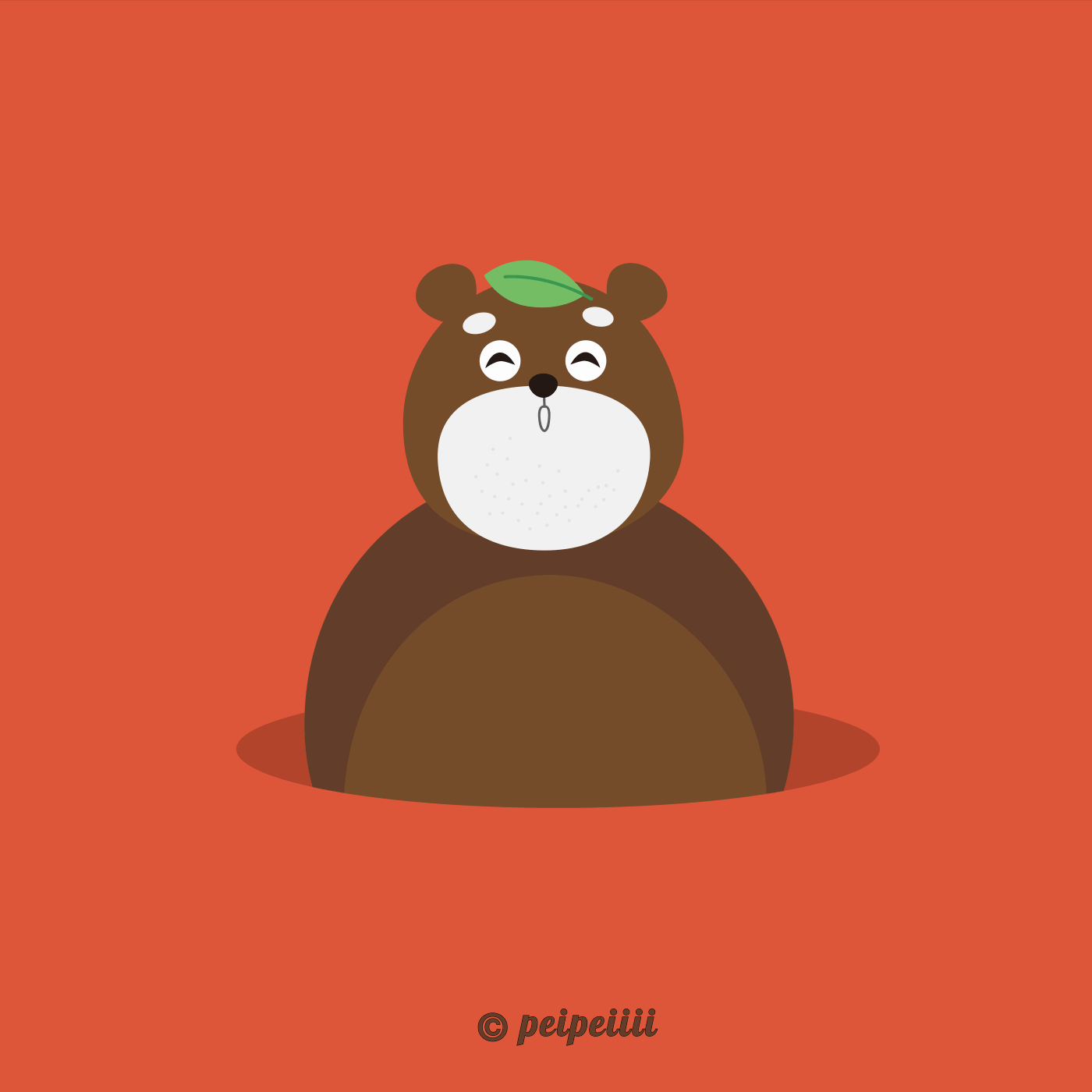bear Character design  animation  concept cartoon motion_graphic