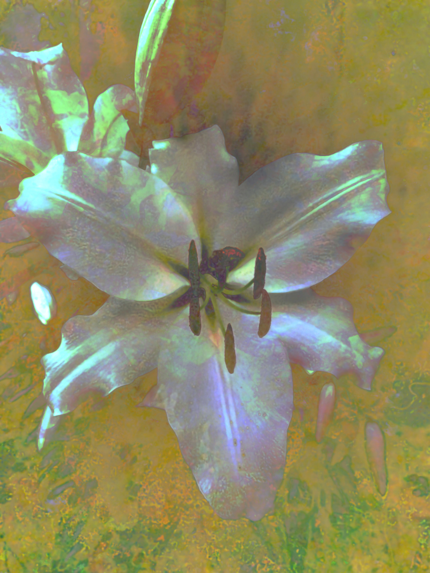 art kiev Mother of pearl lilies
