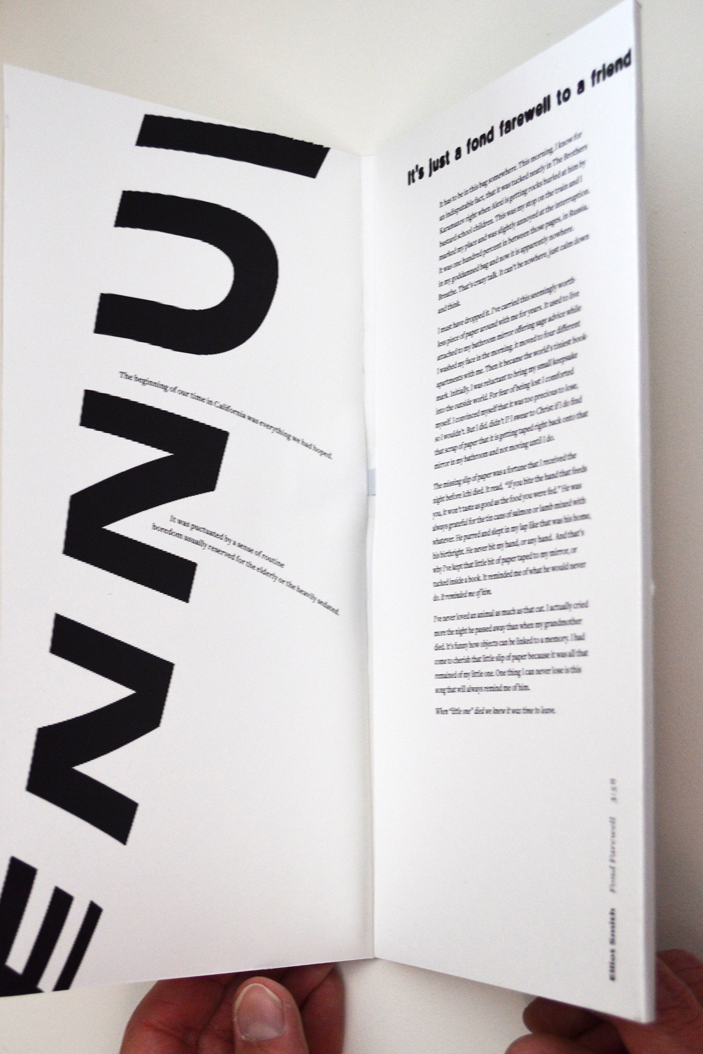 'typography' artist book