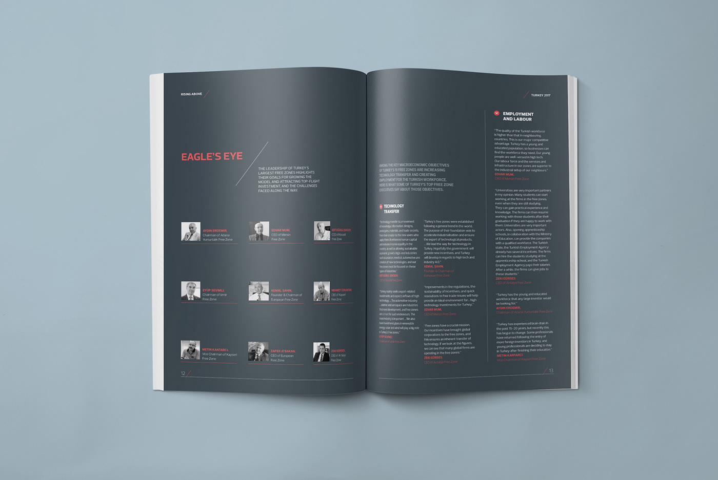 report magazine infographic Turkey chart typography   page layout