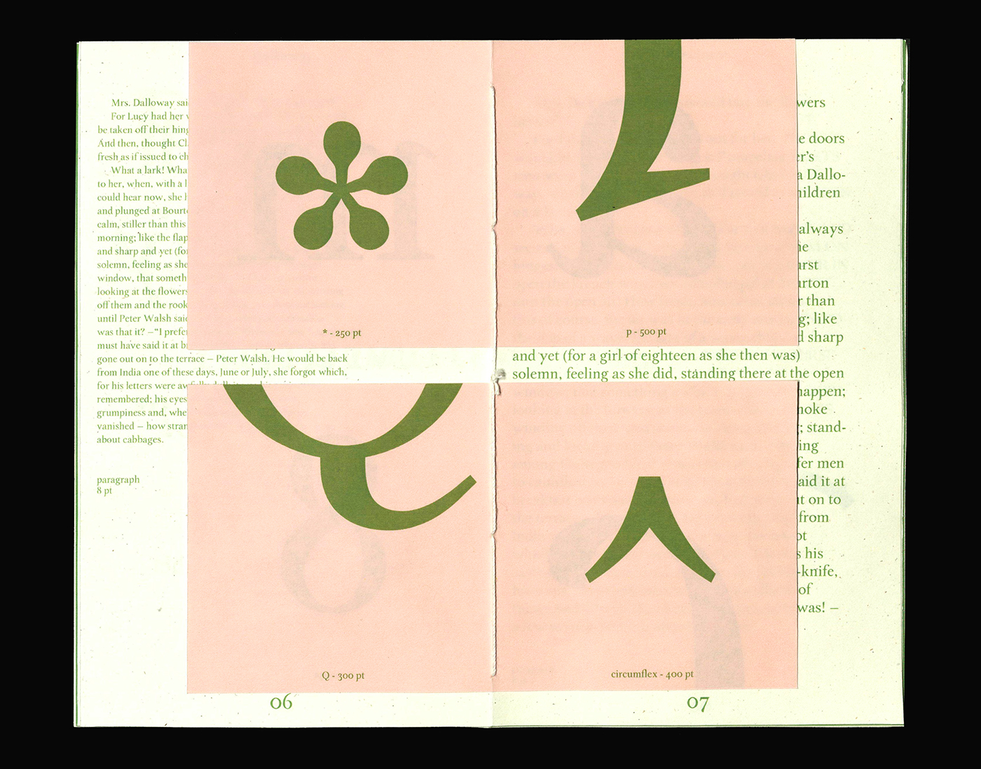 Typeface Type Specimen Booklet Zine  specimen book