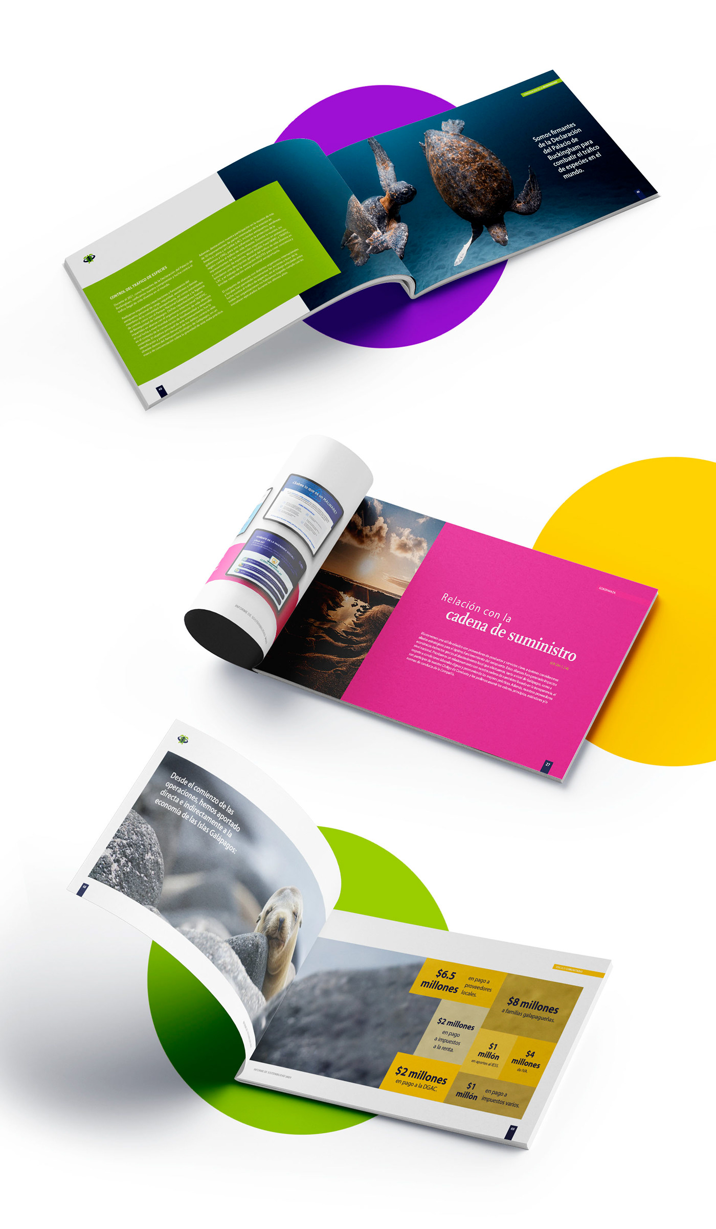 book brochure design editorial editorial design  environment Landscape Layout print Sustainability