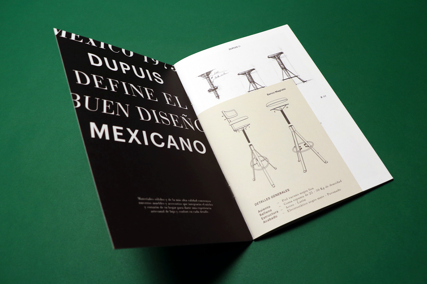 editorial catalog brochure multiple formats mexico DuPuis savvy