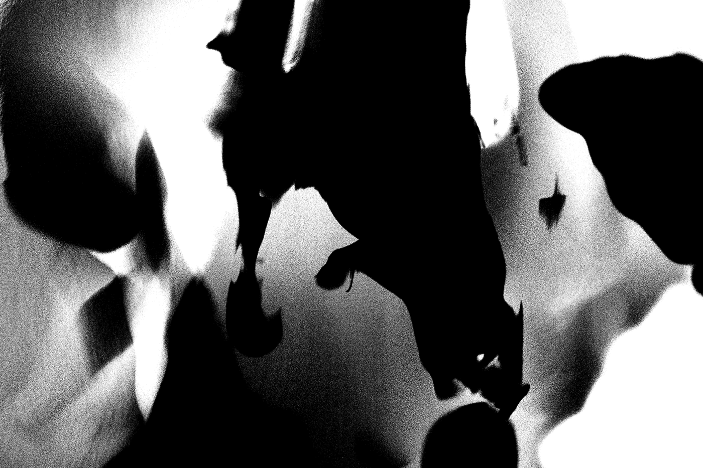 abstract black and white multiple exposure