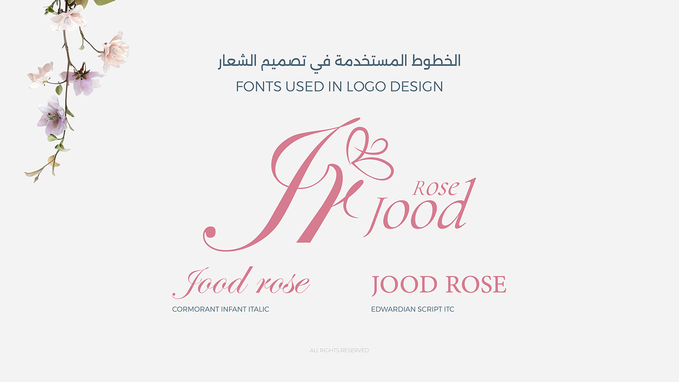 design brand identity branding  visual identity Logo Design adobe illustrator Brand Design identity logos vector