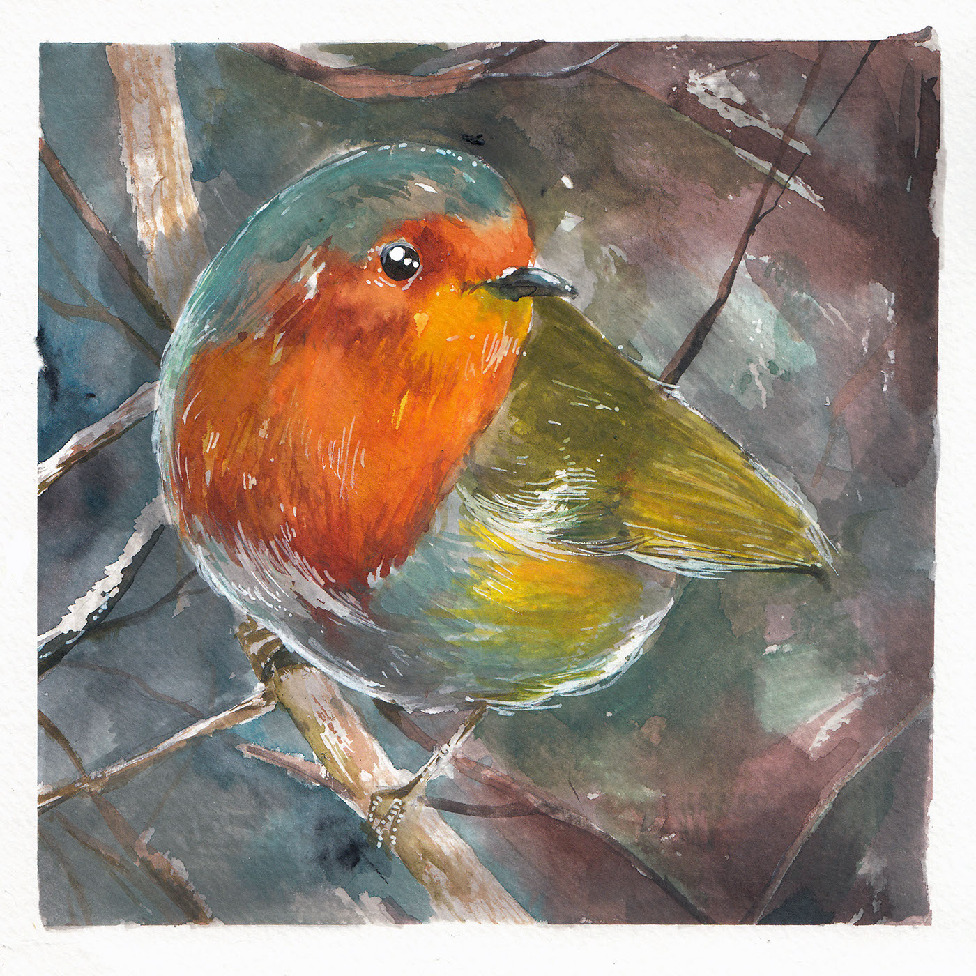 bird ILLUSTRATION  ecoline watercolor Nature sketch sketchbook