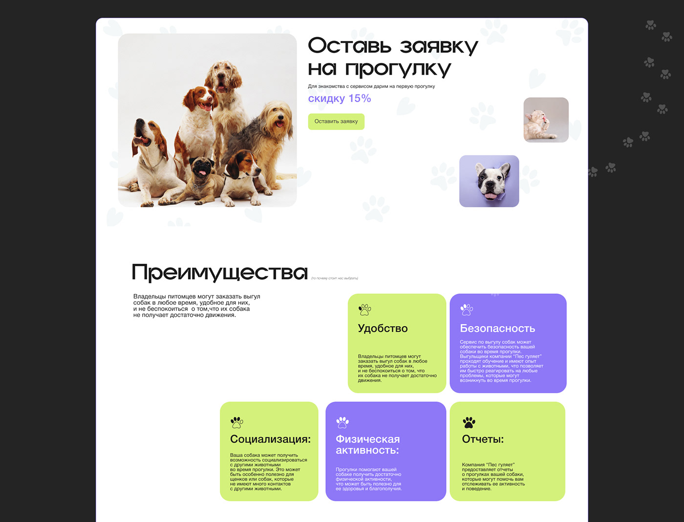 дизайн дизайн сайтов design designer uiux UI/UX ui design Figma user interface Web Design 
