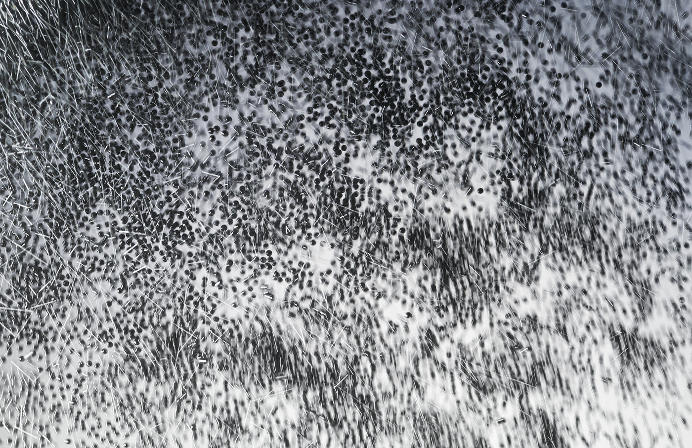 blur experimental Flash Highspeed macro motion movement Photography  swarm swarms