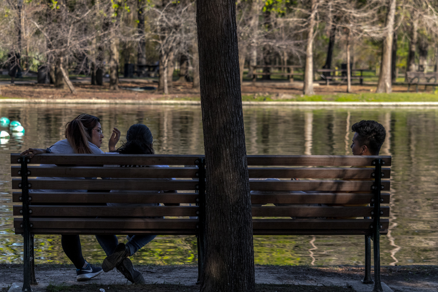 houston texas hermann park nature photography people watching