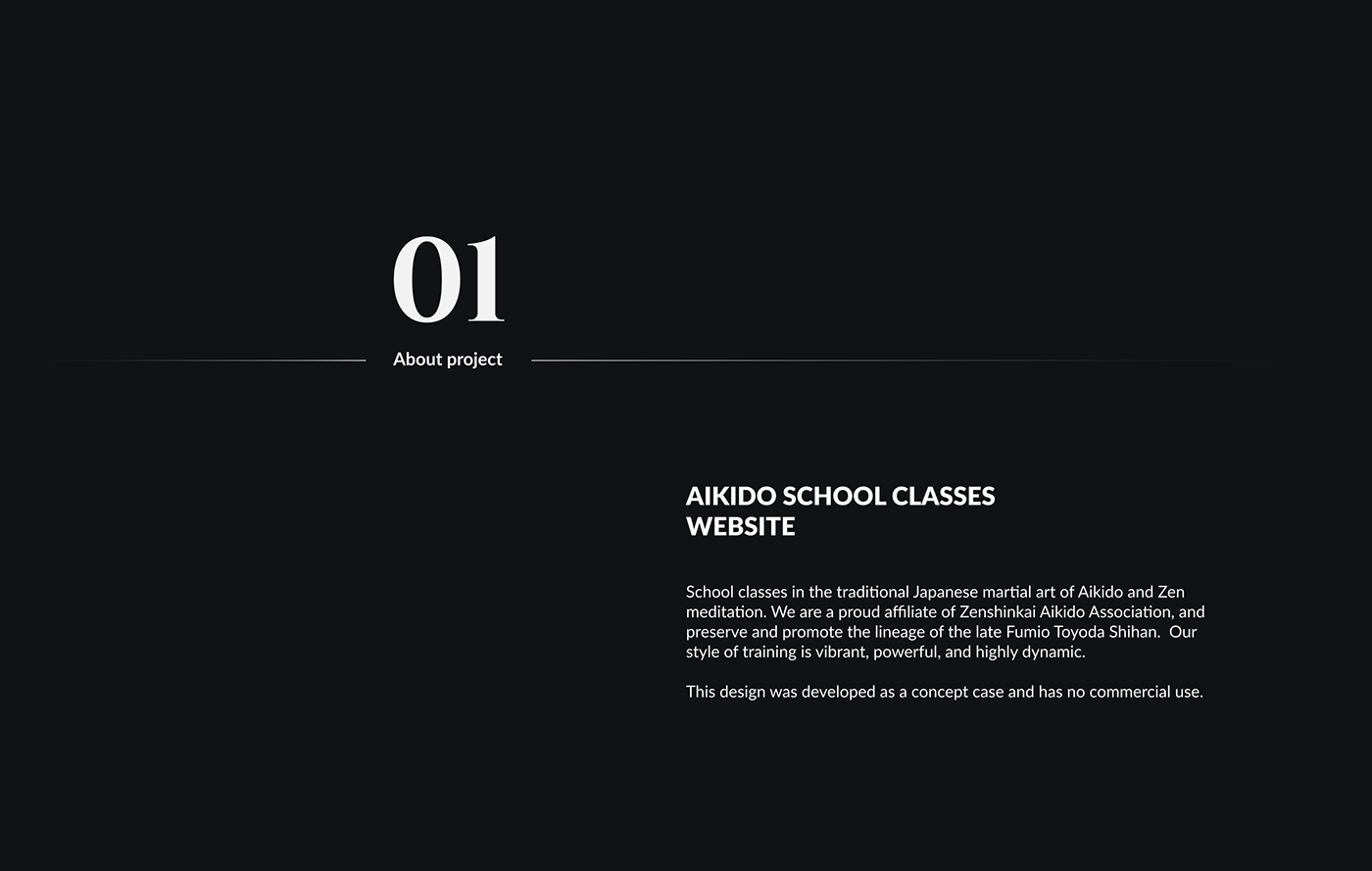 aikido classes concept design school UI ux Website