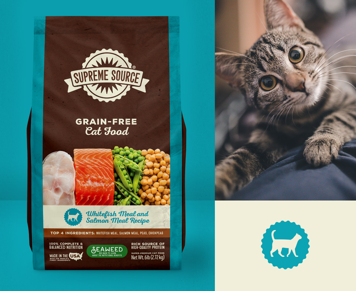 pet food dog food Dog treats Pet food photography cat food kibble dog Cat animal nutrition