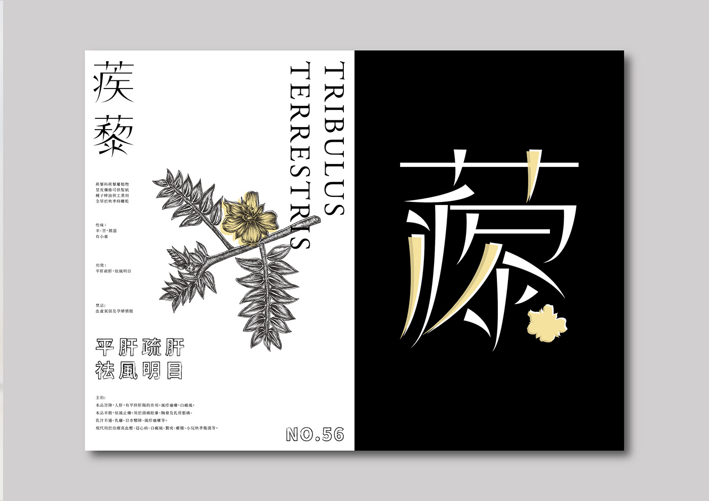 book chinese font plants 中藥 圖鑑 植物 publishing   Herb Nature