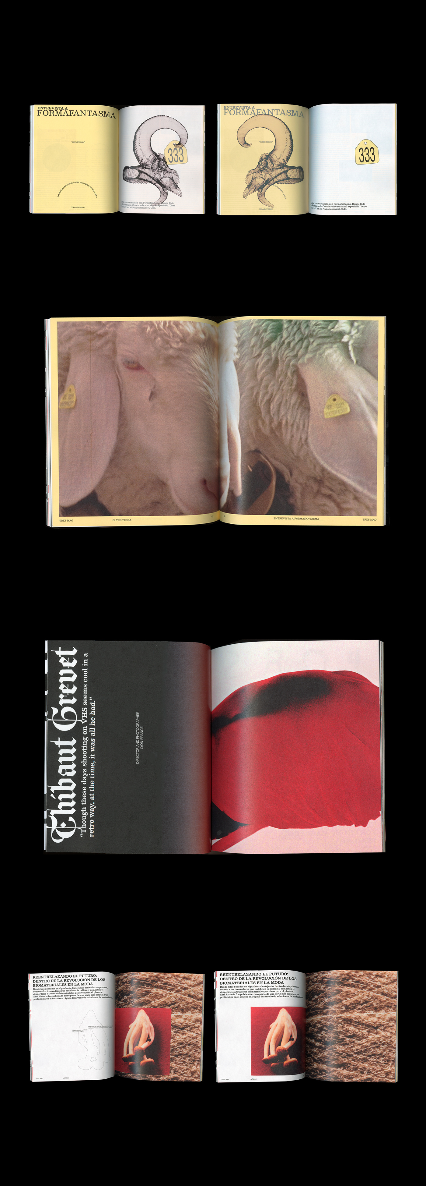 diseño gráfico editorial magazine typography   art direction  Photography  Layout InDesign editorial design  print