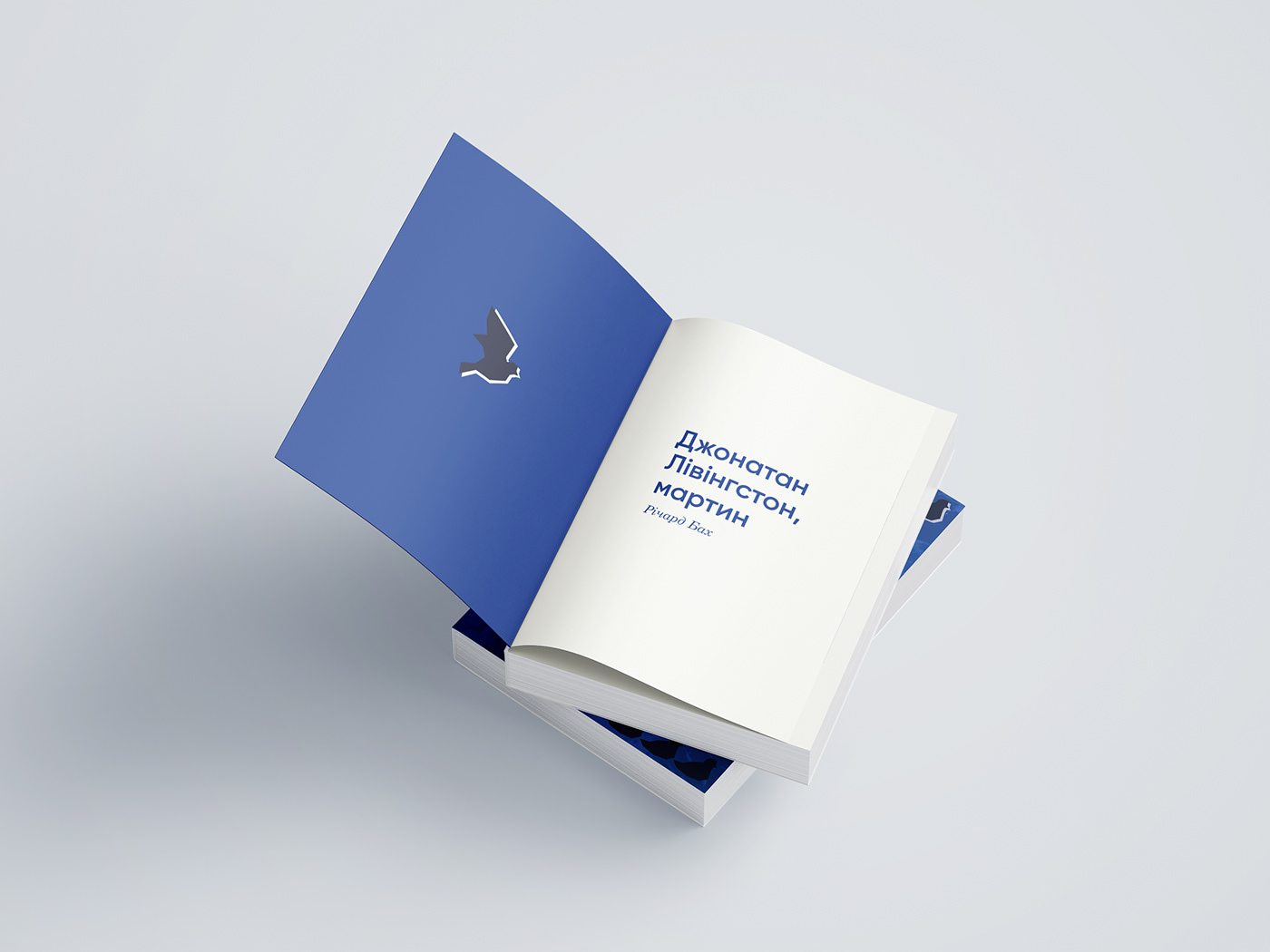 Bookdesign InDesign Layout bookcover coverdesign book brochure print design  graphic design  layoutdesign