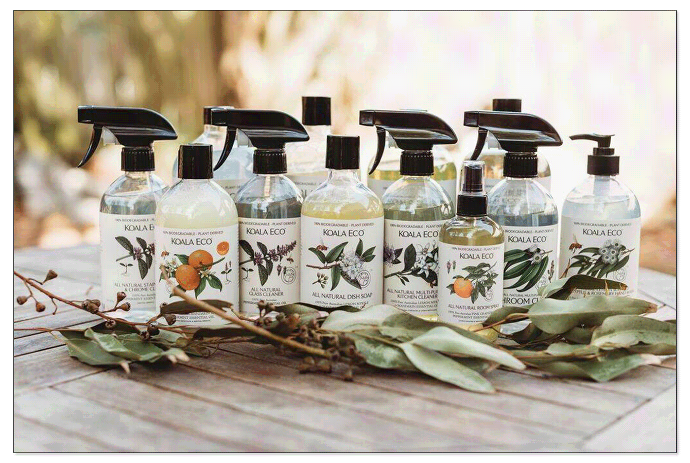 Packaging illustrations for Koala Eco products.