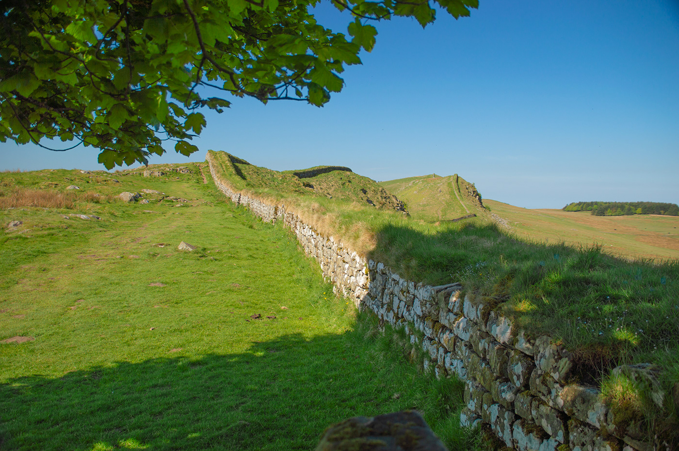 Hadrian's Wall Romans archaeology ruins Vindolanda northumberland england history country Hillwalking