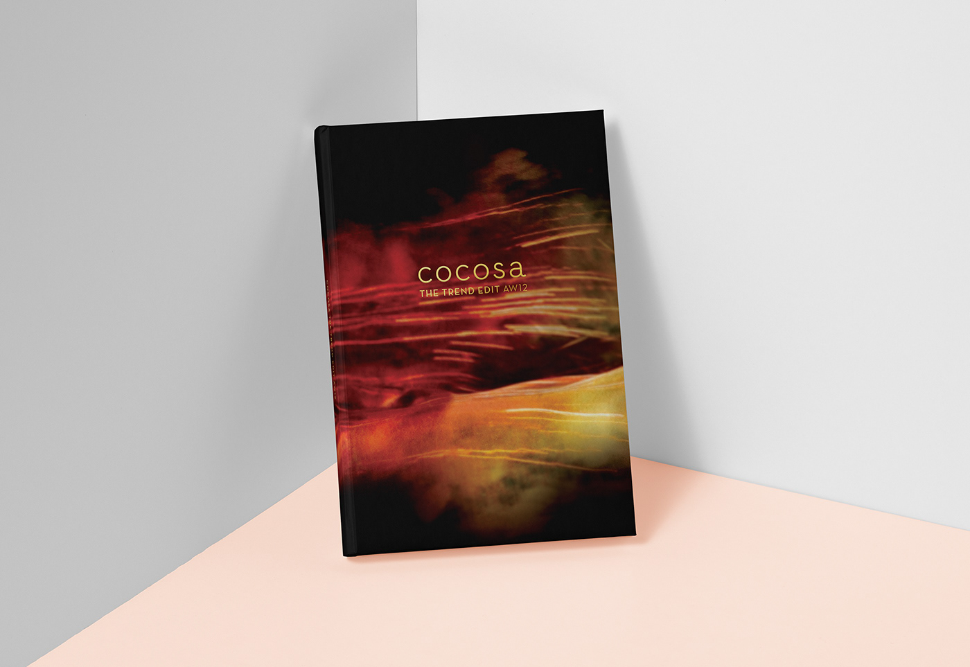 Fashion  art direction  graphic design  look book magazine cocosa