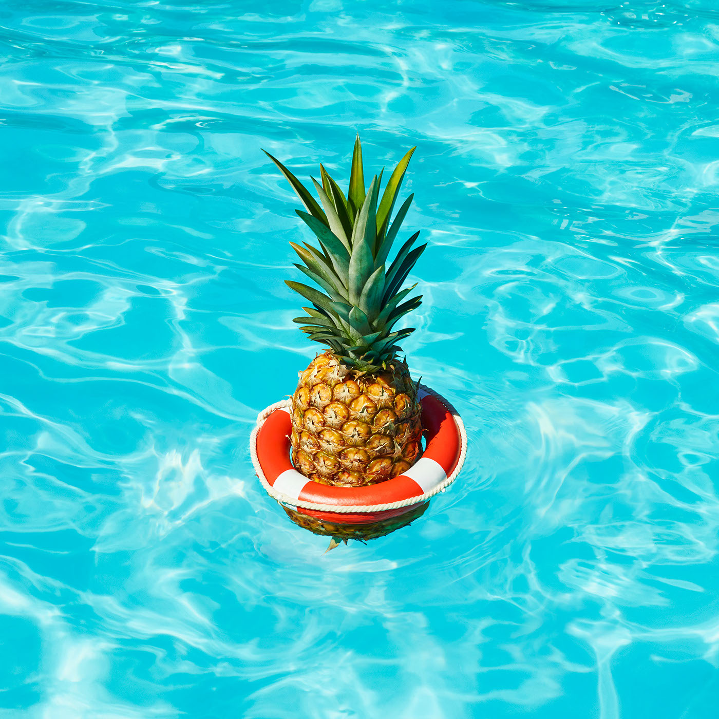 summer heat watermelon Pineapple Swimmingpool birds cactus