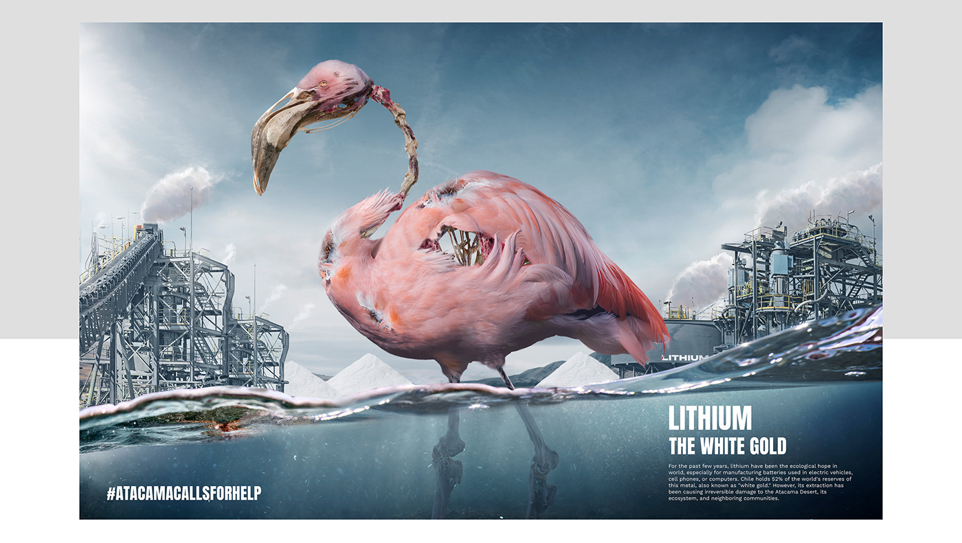 Greenpeace Nature campaing lithium tesla litio