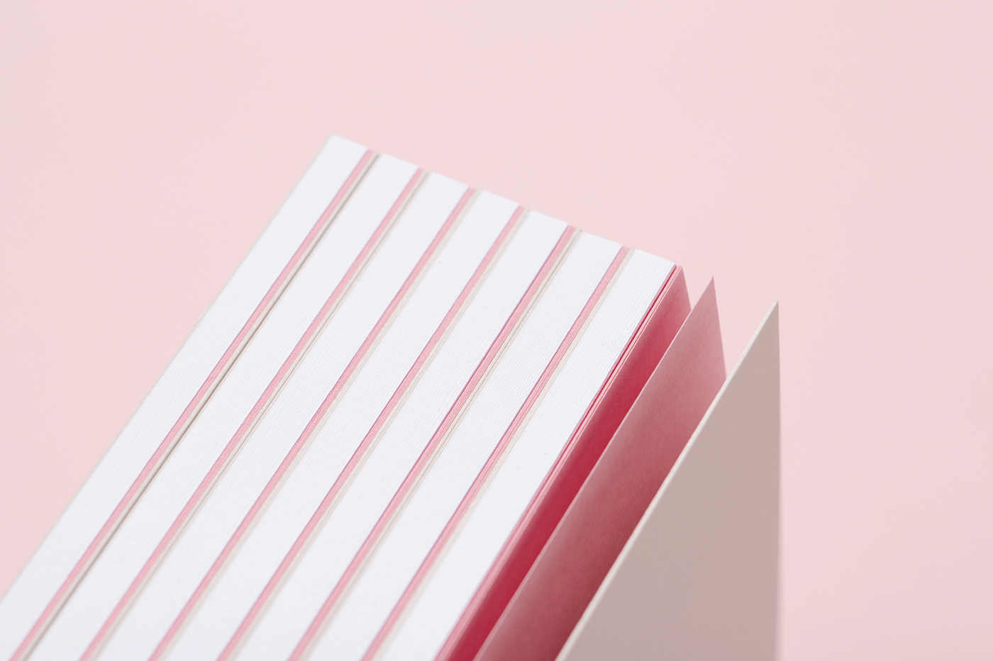 design Catalogue pink Black Foil