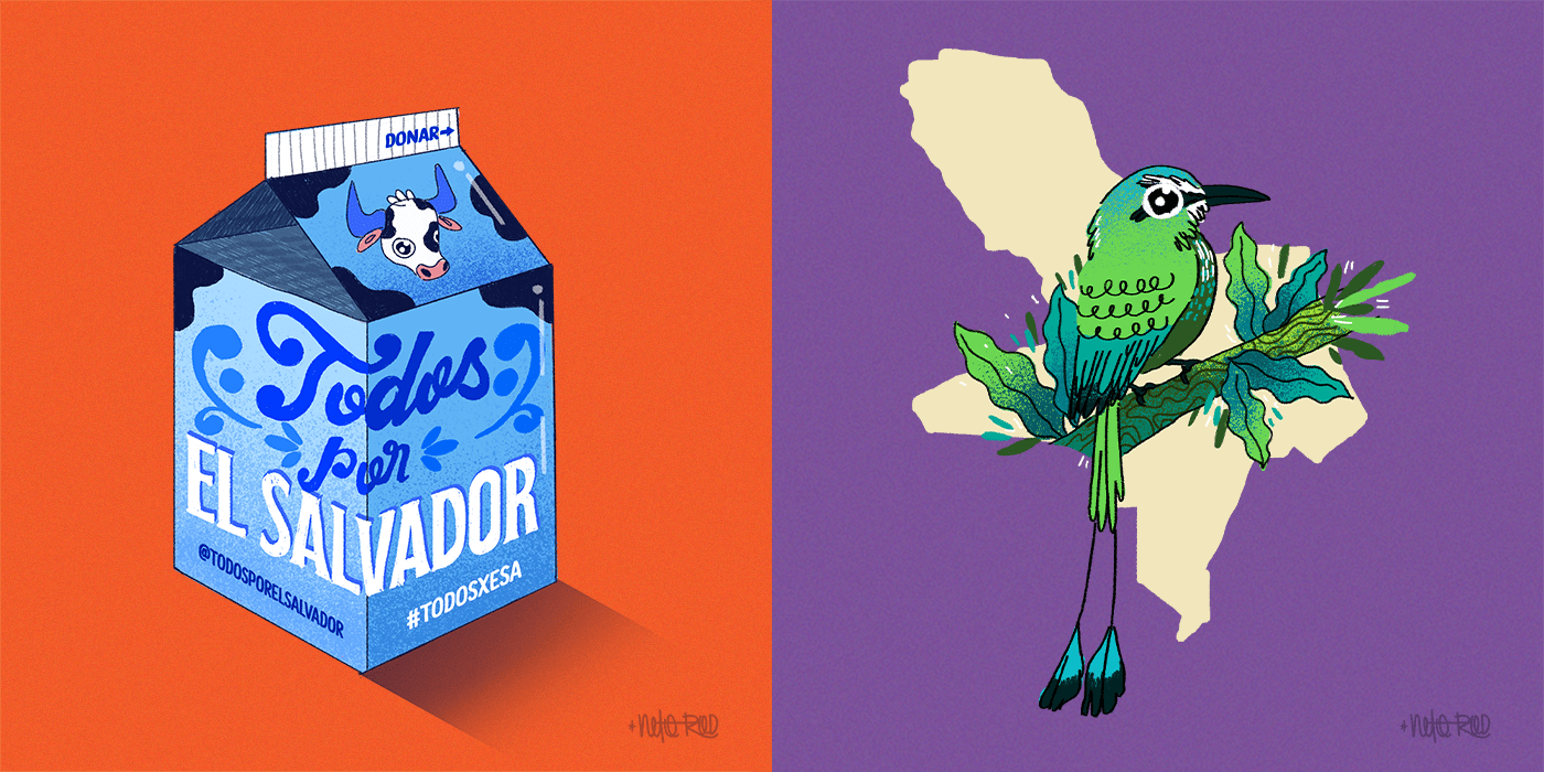 animals artist Character design  Drawing  El Salvador ILLUSTRATION  portfolio Tropical