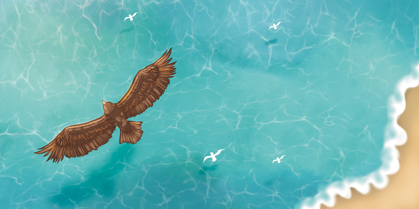 childrens book eagle birds blue sky ILLUSTRATION  kidlit story
