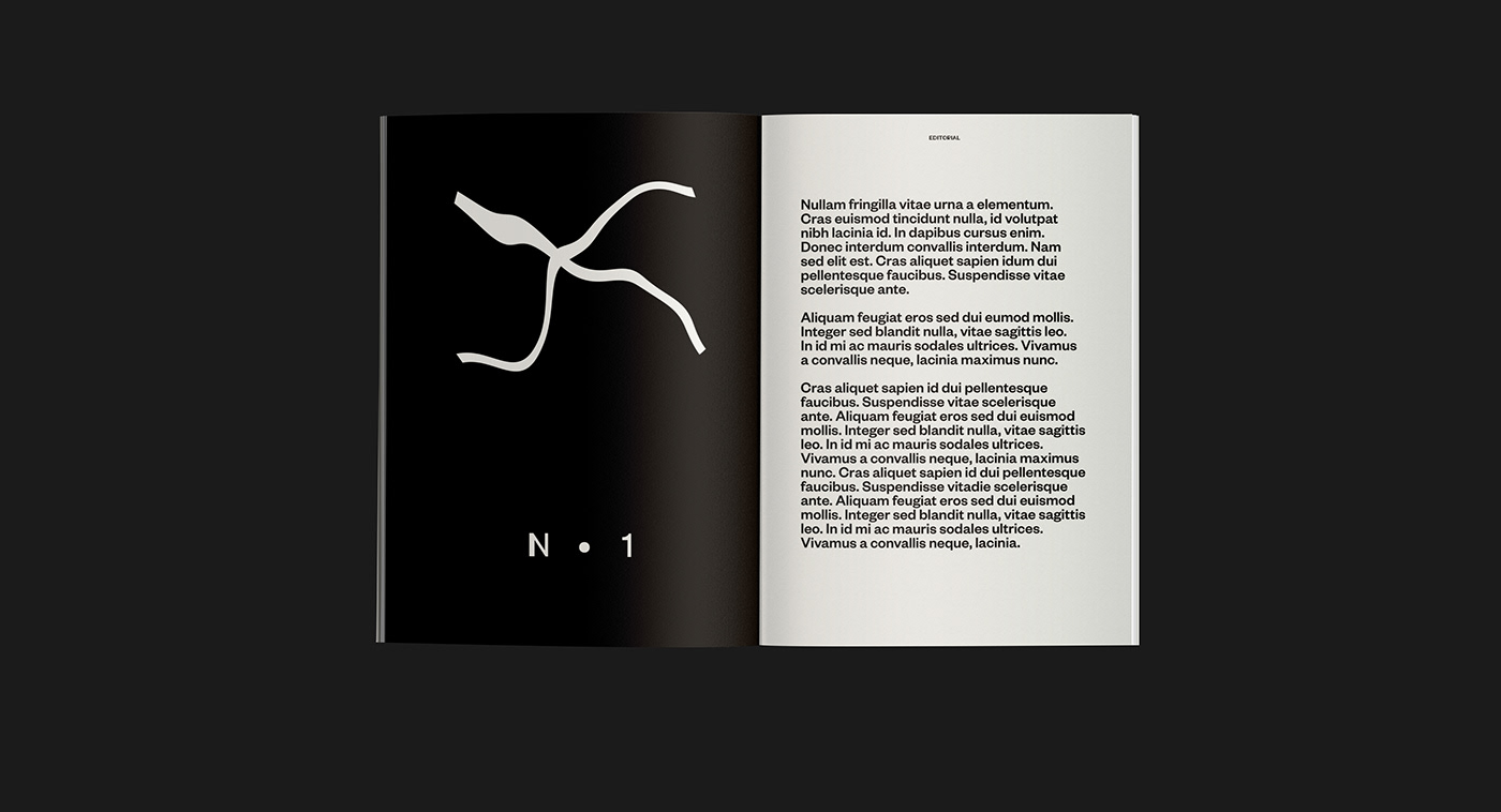 comunication design cultural magazine editorial typeface design